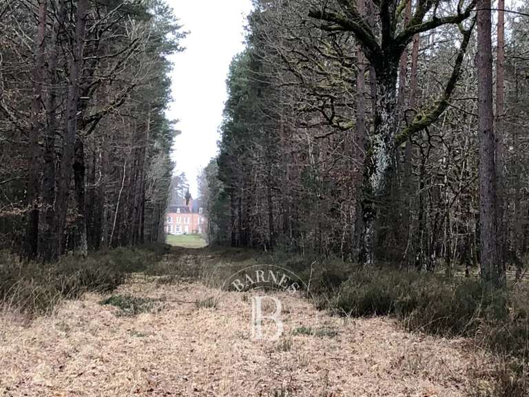 Château Lamotte-Beuvron - 530m²