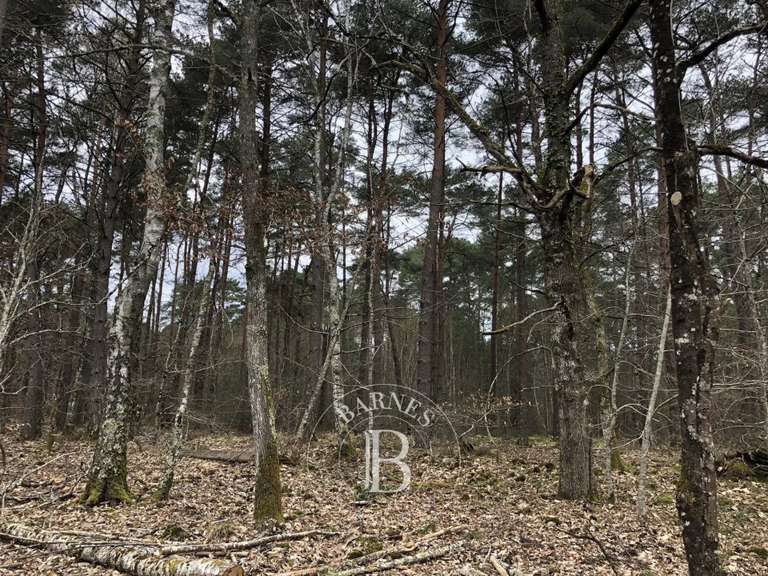 Château Lamotte-Beuvron - 530m²