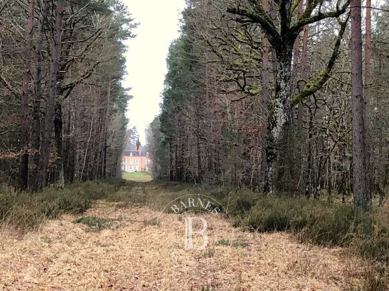 Château Lamotte-Beuvron - 530m²