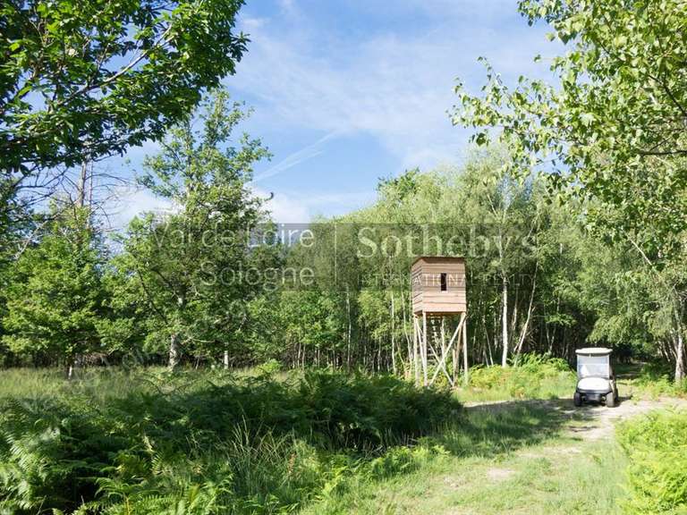 Maison Lamotte-Beuvron - 10 chambres - 710m²