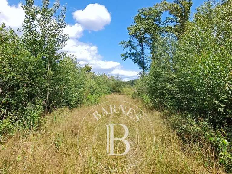 Maison Lamotte-Beuvron - 4 chambres