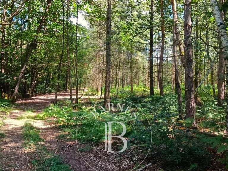 Maison Lamotte-Beuvron - 4 chambres