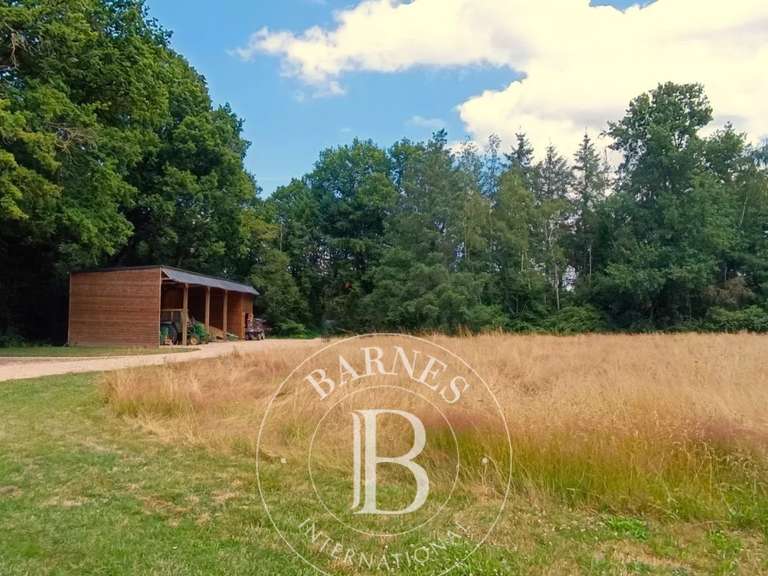 Maison Lamotte-Beuvron - 4 chambres