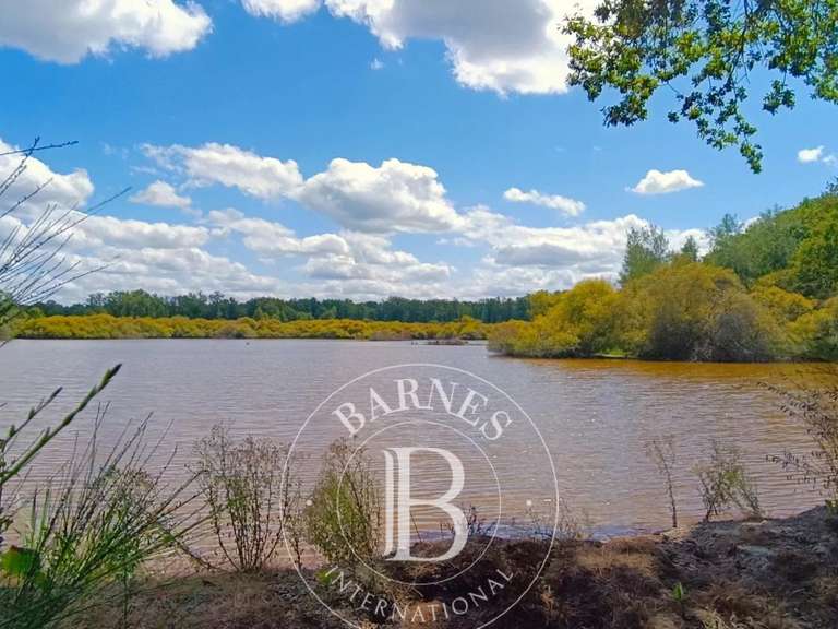 Maison Lamotte-Beuvron - 4 chambres