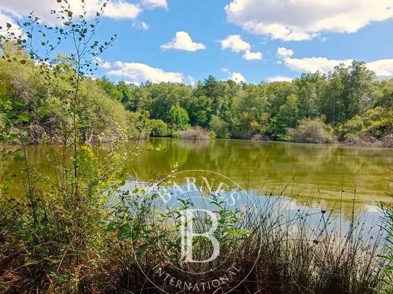 Maison Lamotte-Beuvron - 4 chambres