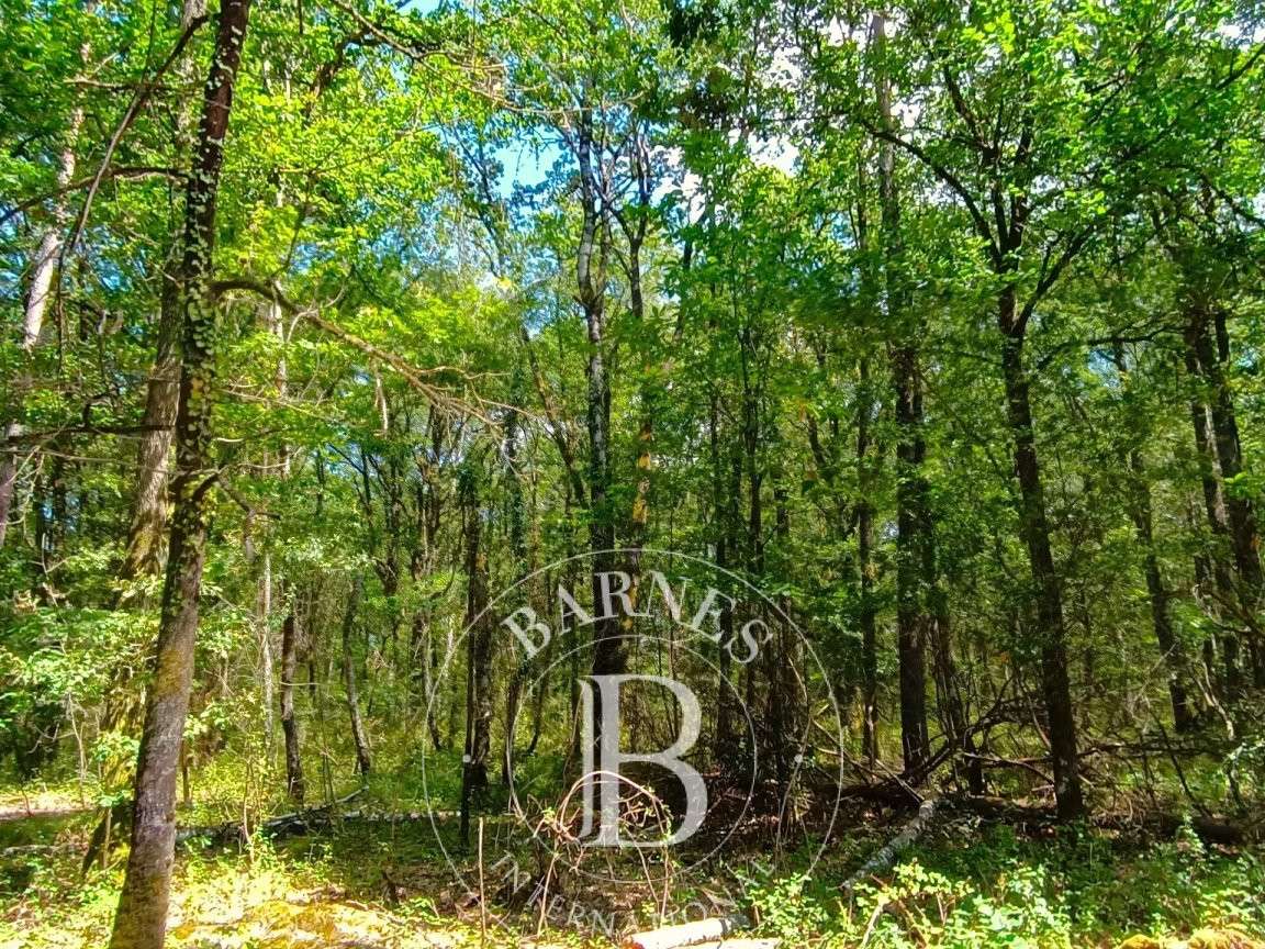 Maison Lamotte-Beuvron