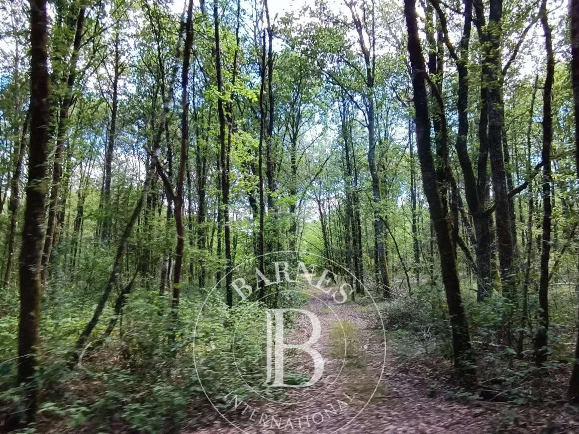 Maison Lamotte-Beuvron