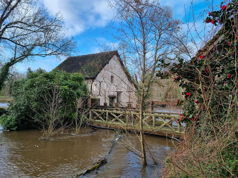 Propriété Lamotte-Beuvron - 5 chambres - 1000m²