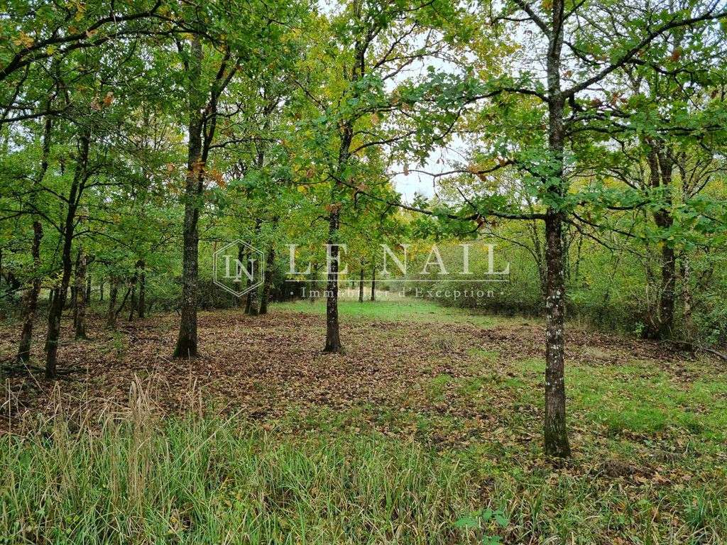 Property Lamotte-Beuvron