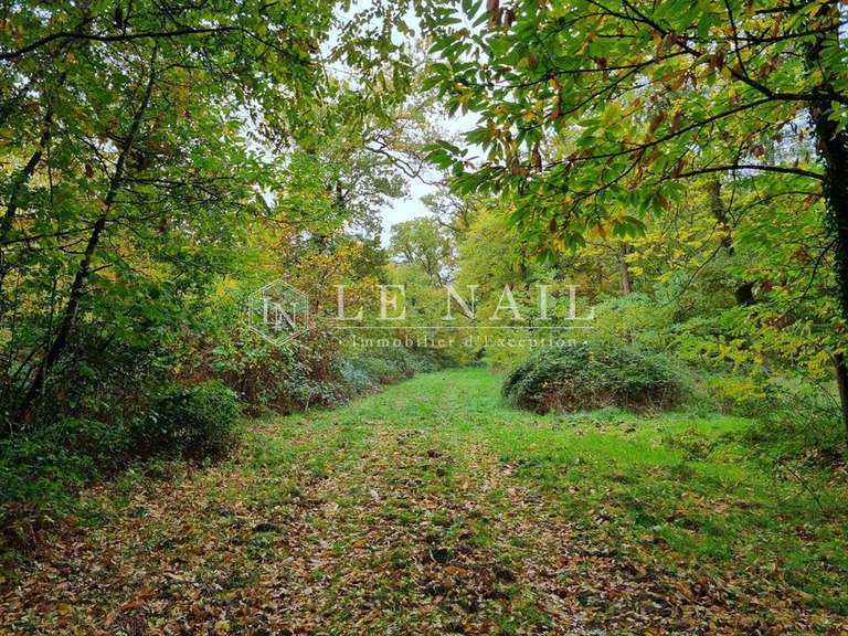 Property Lamotte-Beuvron - 5 bedrooms - 320m²
