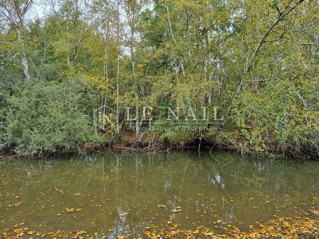 Property Lamotte-Beuvron