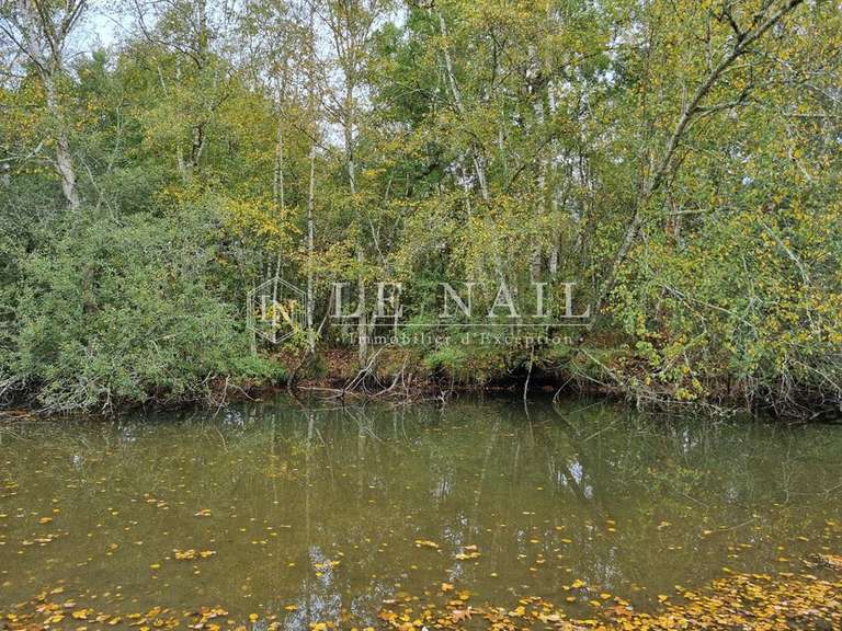 Property Lamotte-Beuvron - 5 bedrooms - 320m²