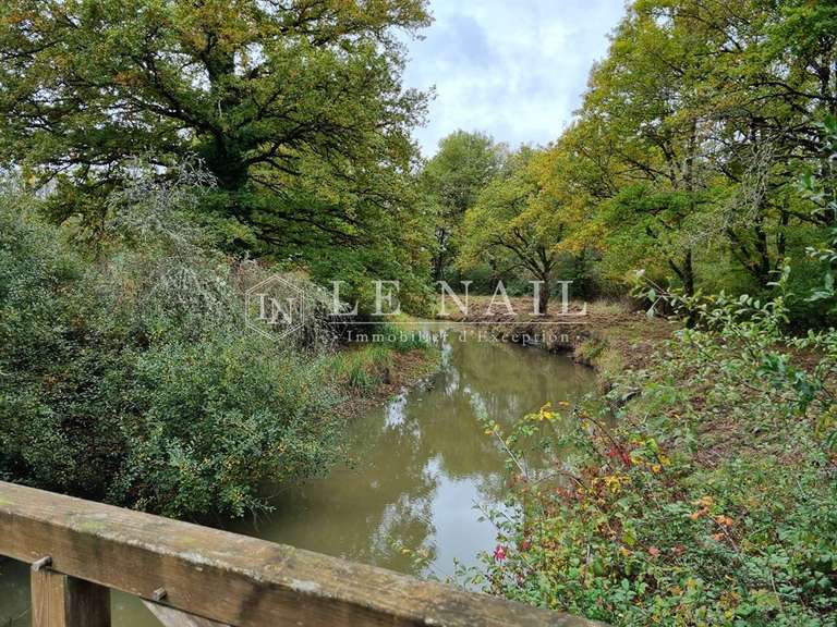 Property Lamotte-Beuvron - 5 bedrooms - 320m²