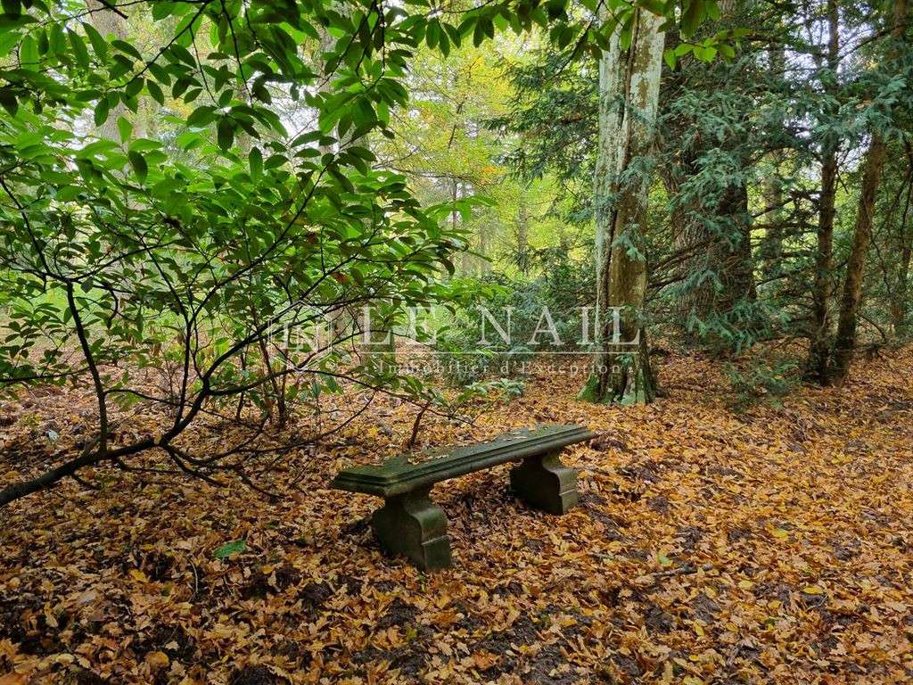 Property Lamotte-Beuvron