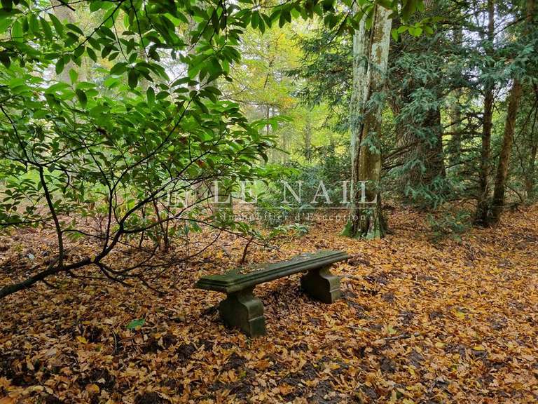 Property Lamotte-Beuvron - 5 bedrooms - 320m²