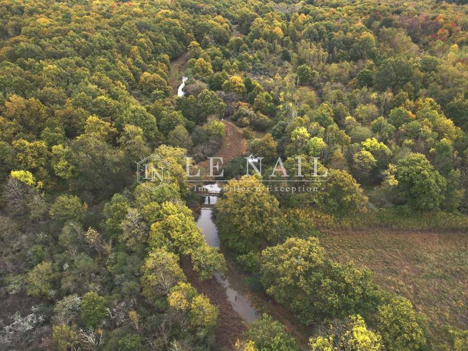 Property Lamotte-Beuvron