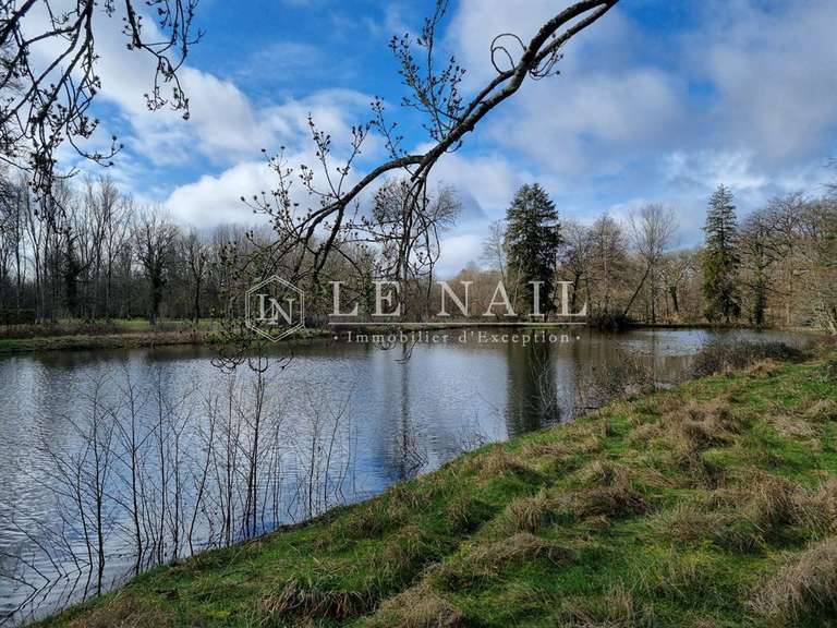 Propriété Lamotte-Beuvron - 5 chambres - 1000m²