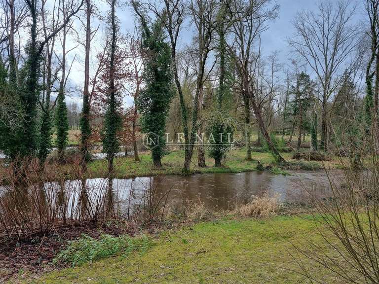 Property Lamotte-Beuvron - 5 bedrooms - 1000m²