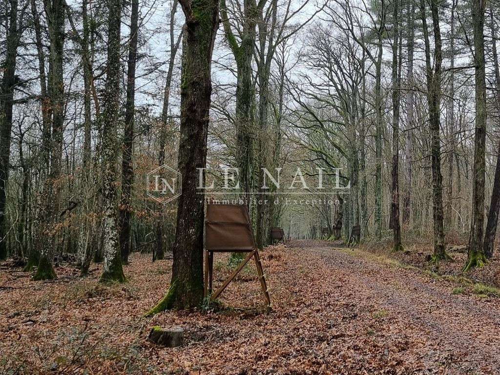 Propriété Lamotte-Beuvron