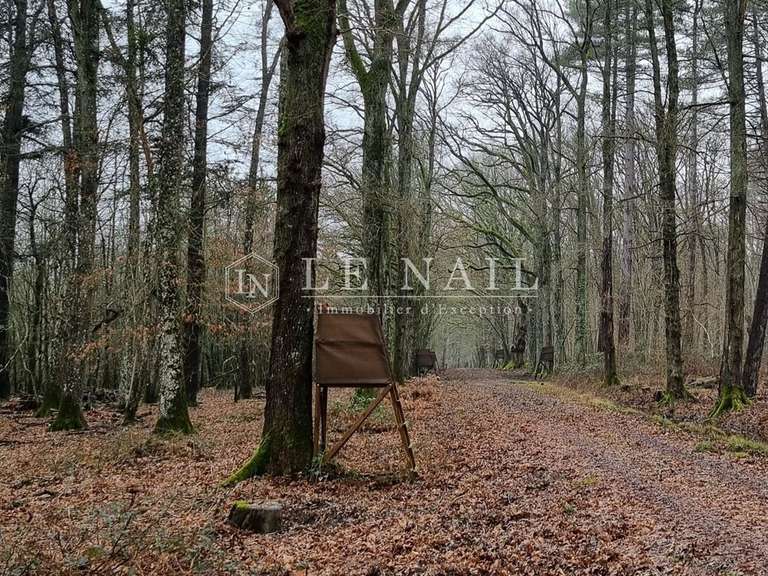 Propriété Lamotte-Beuvron - 5 chambres - 1000m²