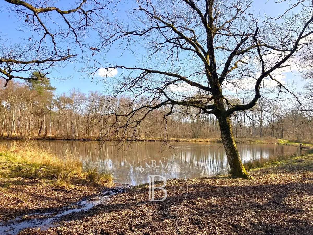 Propriété Lamotte-Beuvron