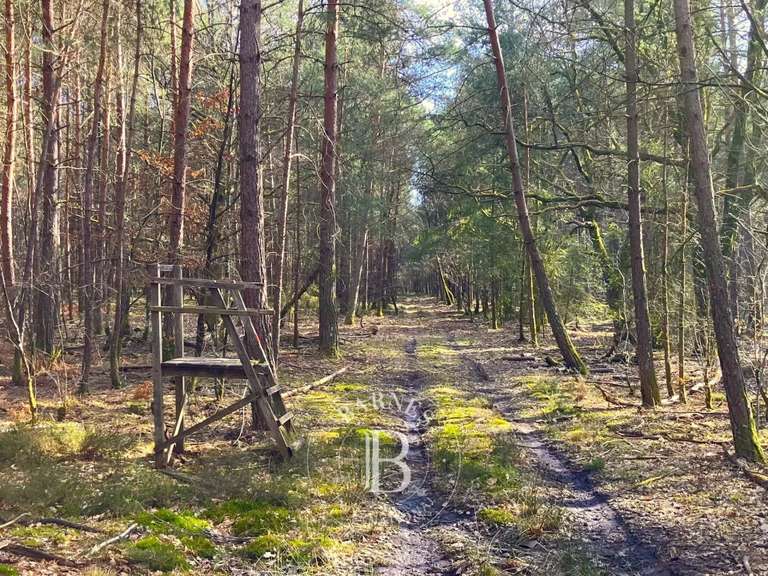 Propriété Lamotte-Beuvron