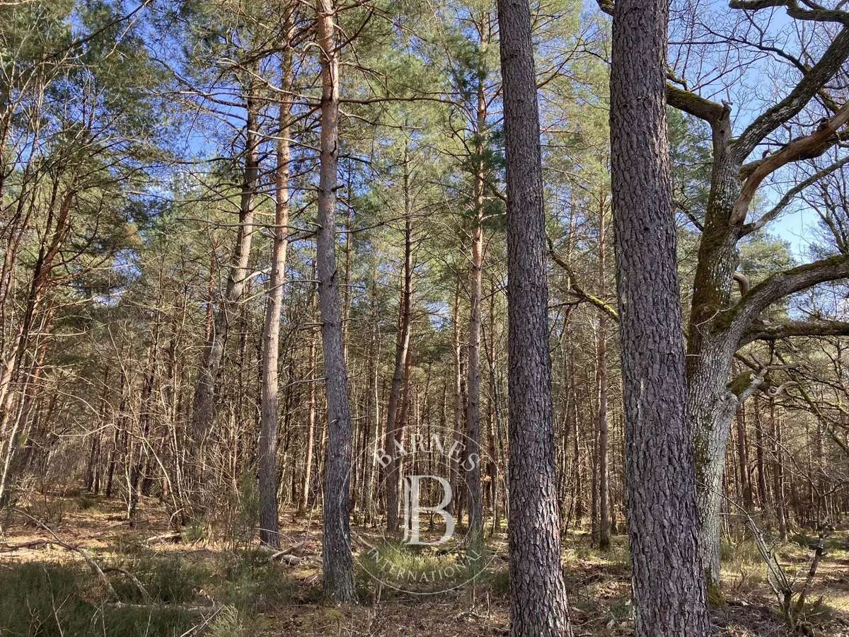 Propriété Lamotte-Beuvron