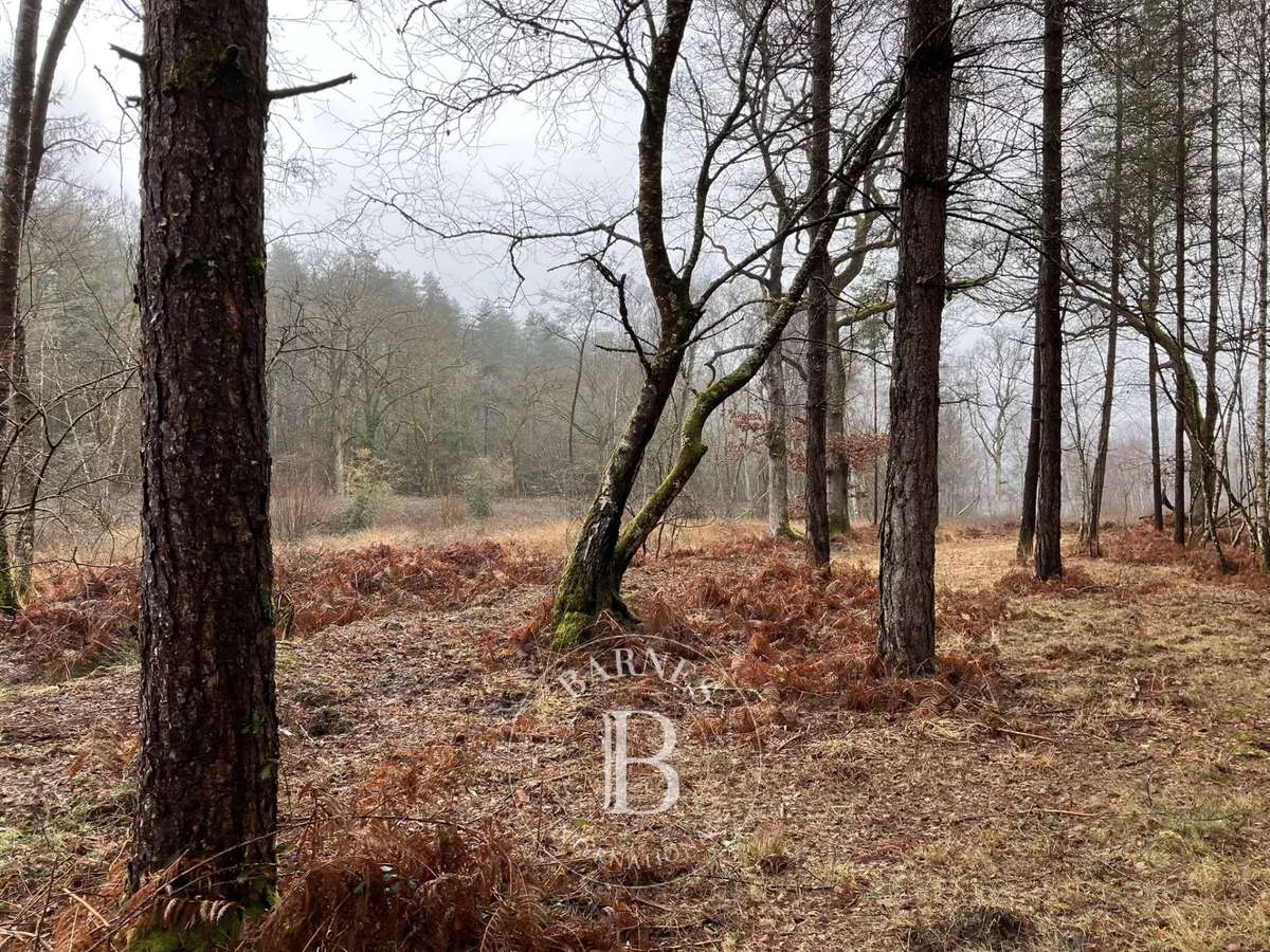 Propriété Lamotte-Beuvron