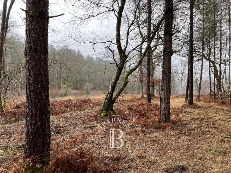 Propriété Lamotte-Beuvron