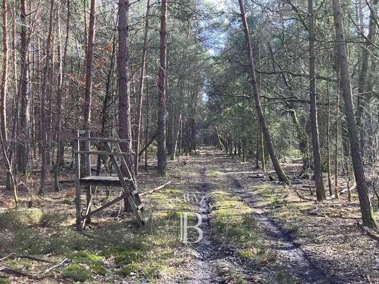 Propriété Lamotte-Beuvron