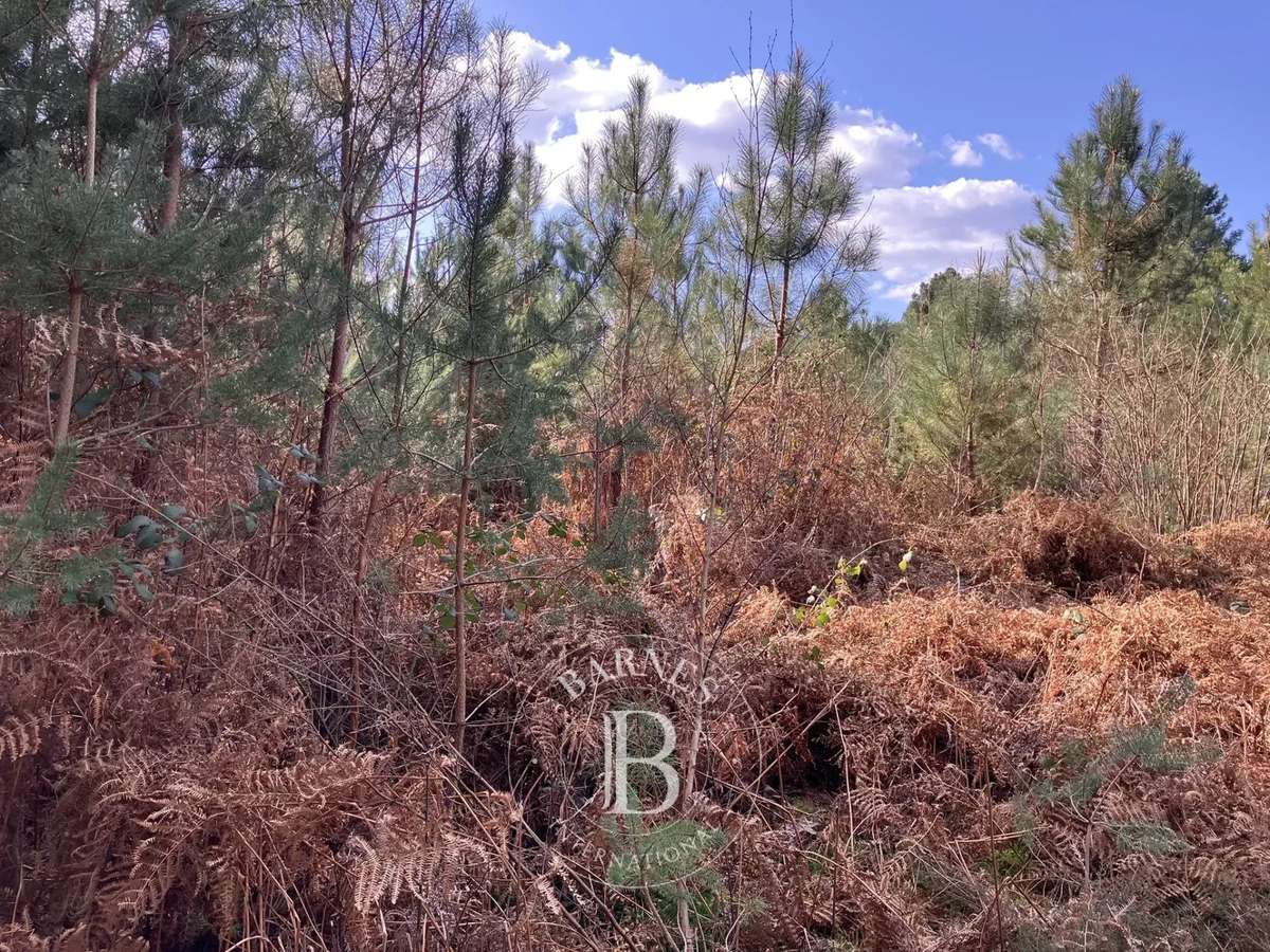 Propriété Lamotte-Beuvron