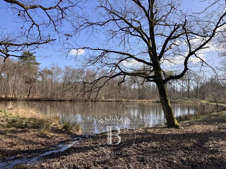 Propriété Lamotte-Beuvron