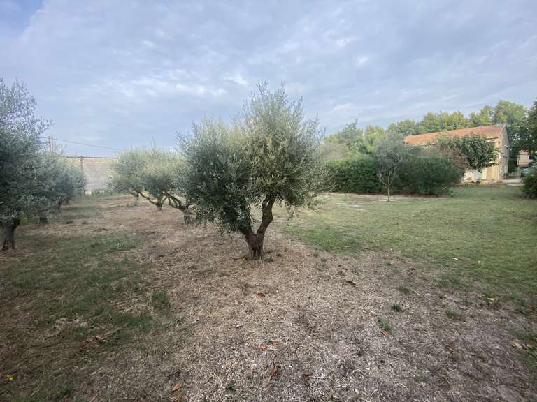 Maison Lançon-Provence - 4 chambres - 280m²