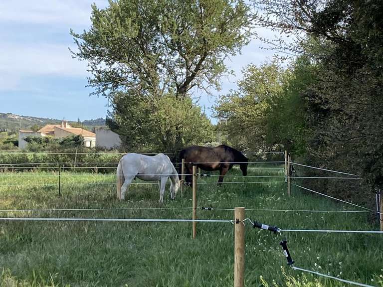 Maison Lançon-Provence - 140m²