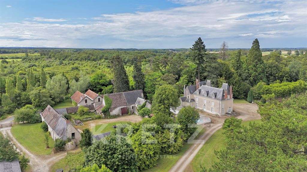 Château Langeais