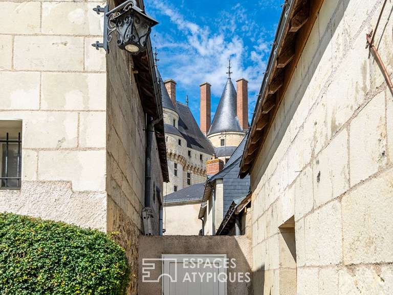 House Langeais - 6 bedrooms