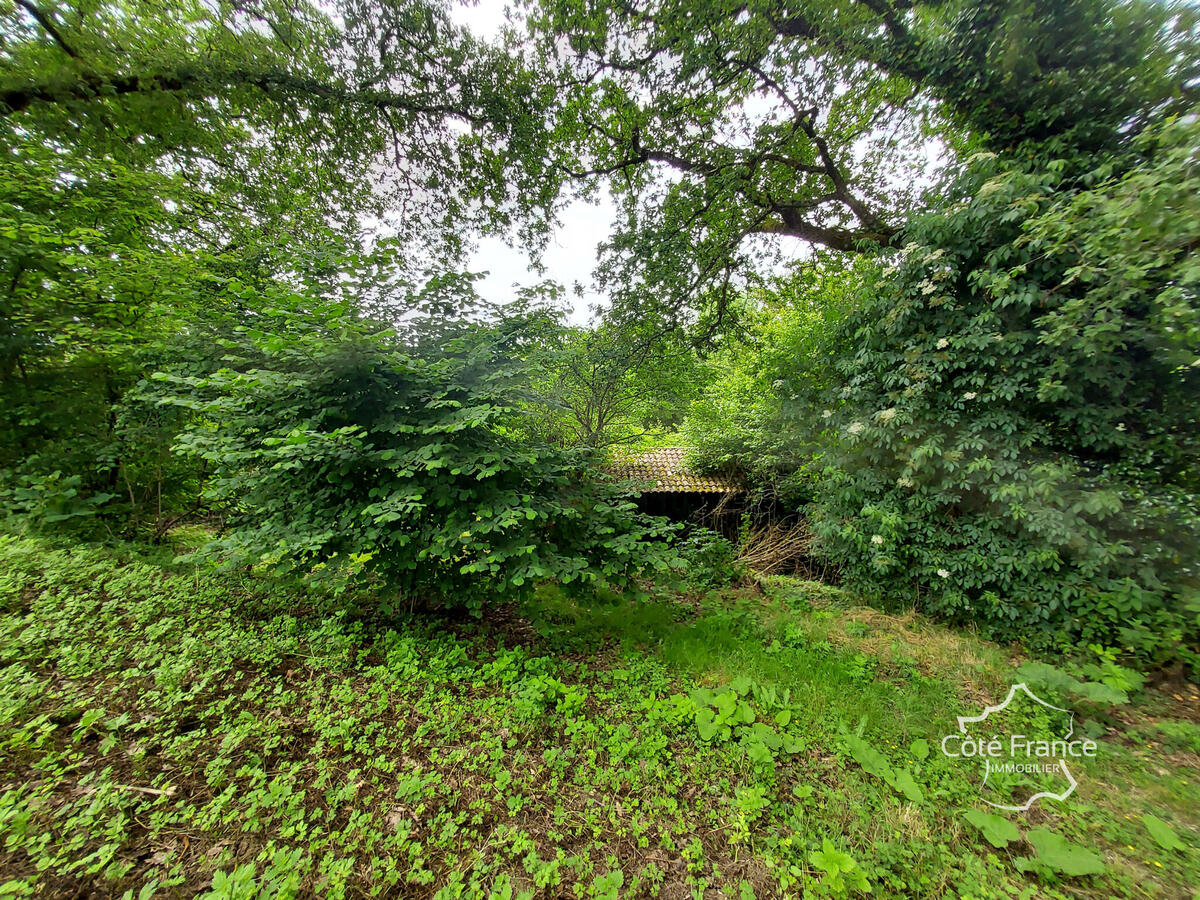 House Langoiran