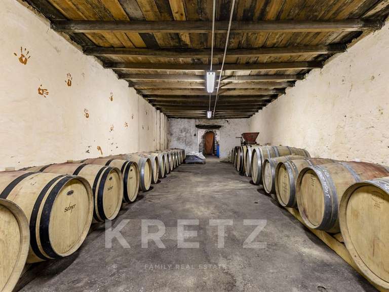 Château Langon - 10 chambres - 650m²