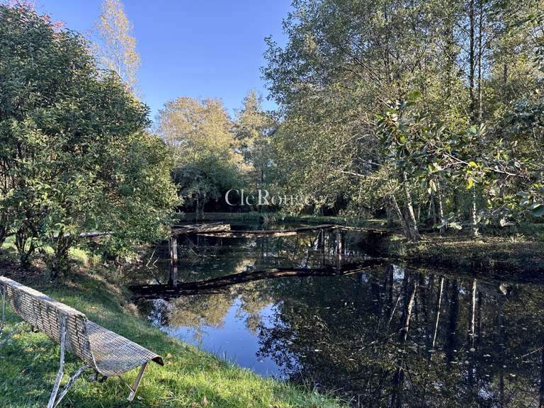 Maison Langon - 5 chambres - 308m²