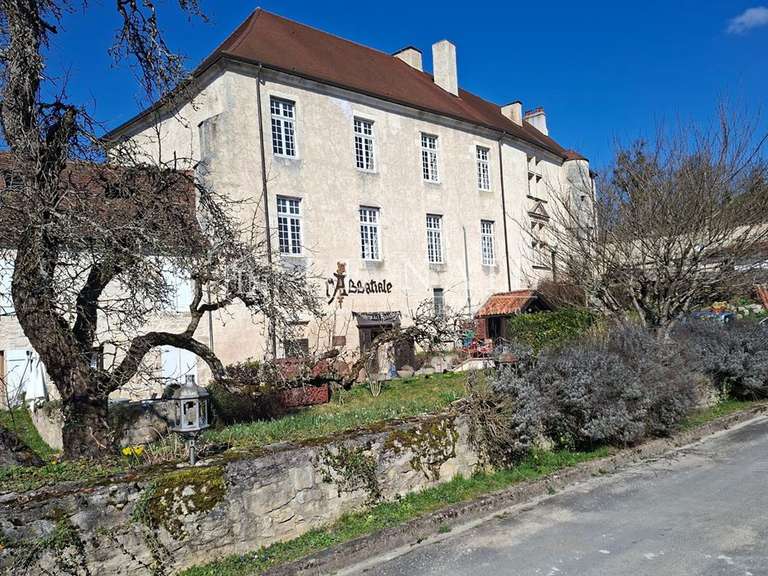 Propriété Langres - 7 chambres - 854m²