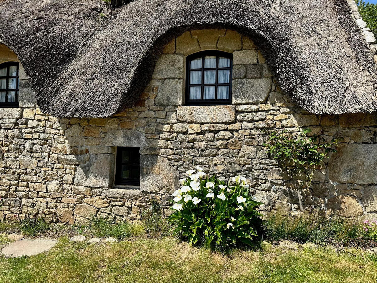 Property Languidic