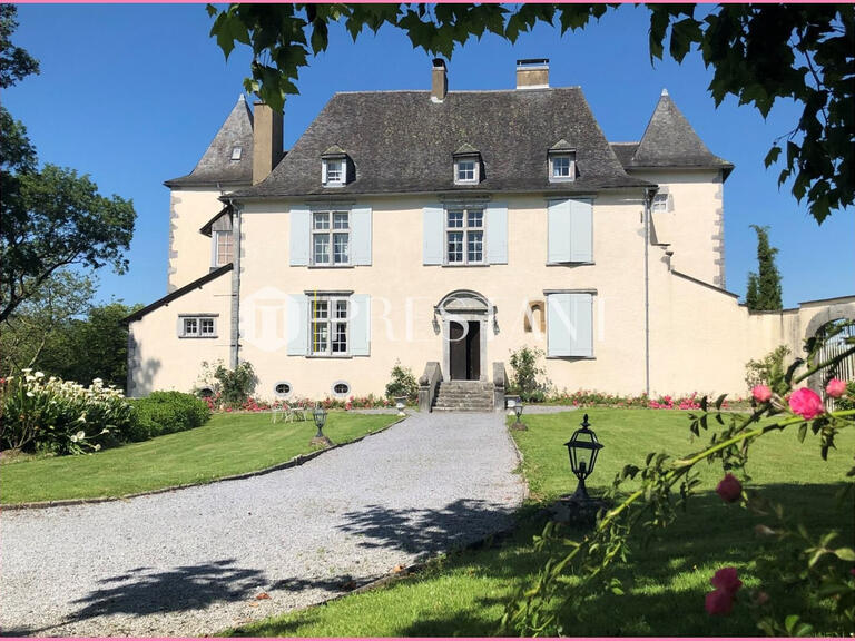 Holidays Castle Lanne-en-Barétous - 6 bedrooms
