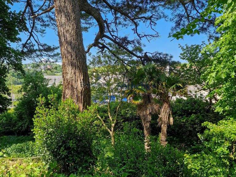 House Lannion
