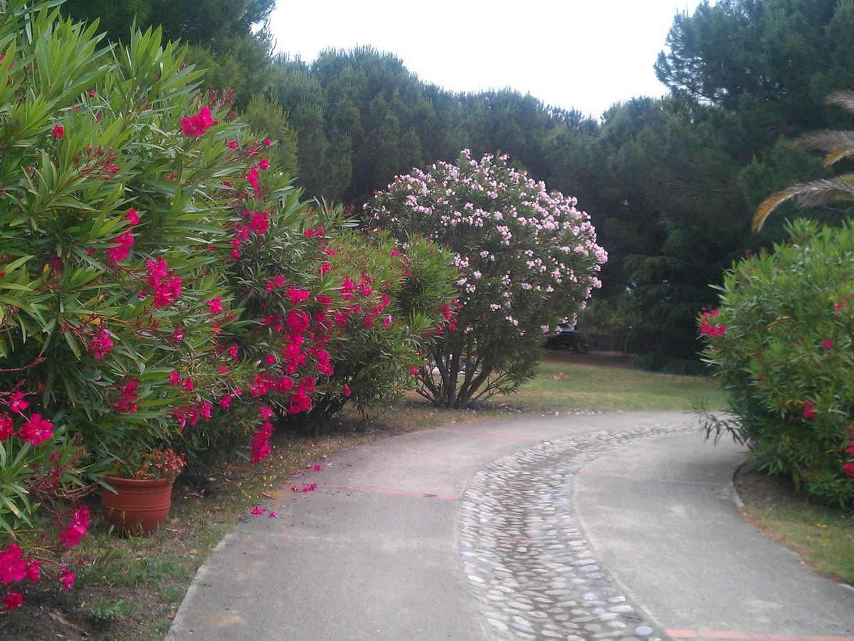 Villa Laroque-des-Albères