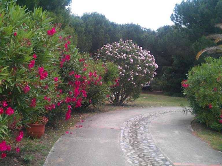 Villa Laroque-des-Albères - 4 chambres - 164m²