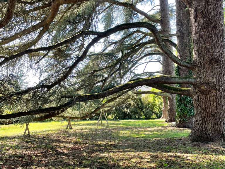 House Latresne - 4 bedrooms - 171m²