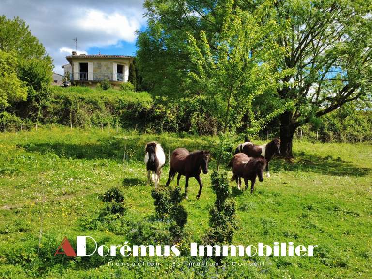 House Latresne - 4 bedrooms - 255m²