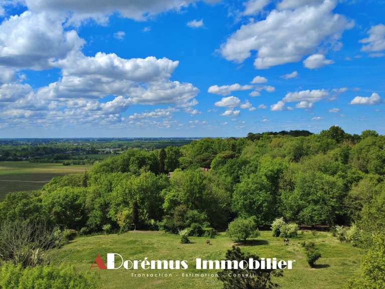 House Latresne - 4 bedrooms - 255m²