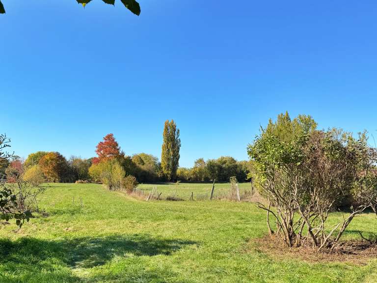 Maison Latresne - 5 chambres - 280m²