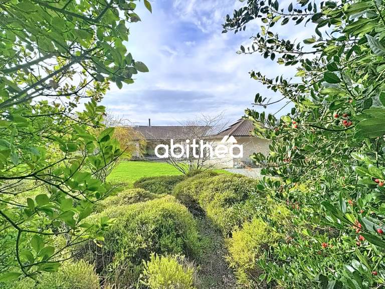 Maison Lattre-Saint-Quentin - 4 chambres - 368m²